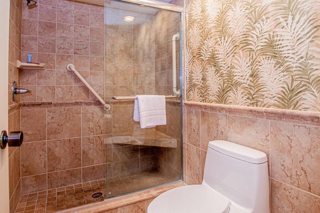Serene Hideaway Wesley Chapel Exterior photo