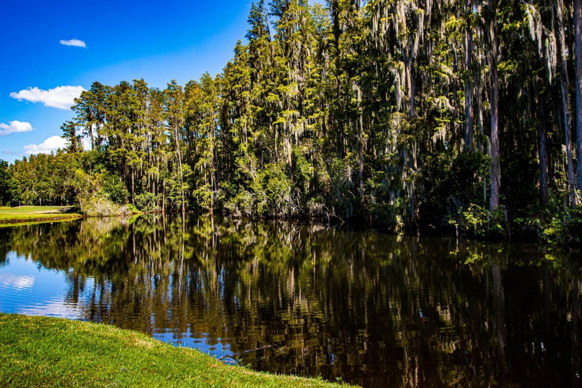Serene Hideaway Wesley Chapel Exterior photo